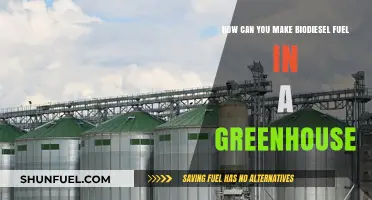 Greenhouse Biodiesel Production: Sustainable Fuel Creation for Eco-Friendly Energy