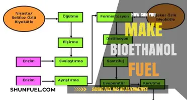 Sustainable Energy: A Step-by-Step Guide to Producing Bioethanol Fuel
