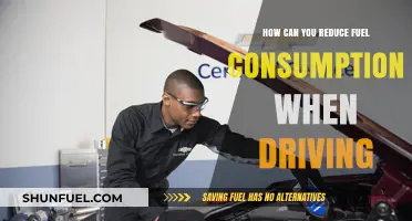 Smart Driving Tips to Slash Fuel Consumption and Save Money