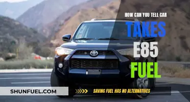 E85 Fuel: Signs Your Car Can Run on Ethanol Blend