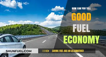 Spotting Efficient Fuel Economy: Key Signs and Smart Driving Tips