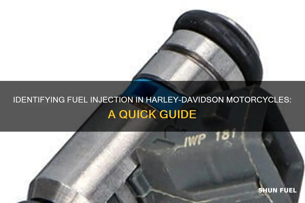 how can you tell if a harley is fuel injected