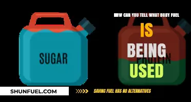 Understanding Your Body's Fuel: How to Identify Energy Sources