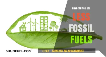 Green Alternatives: Reducing Fossil Fuel Dependence
