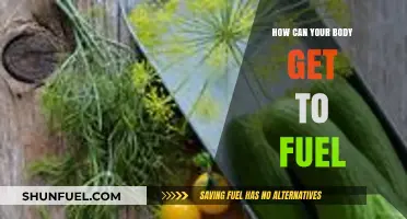 Unlocking Energy: How Your Body Converts Food to Fuel