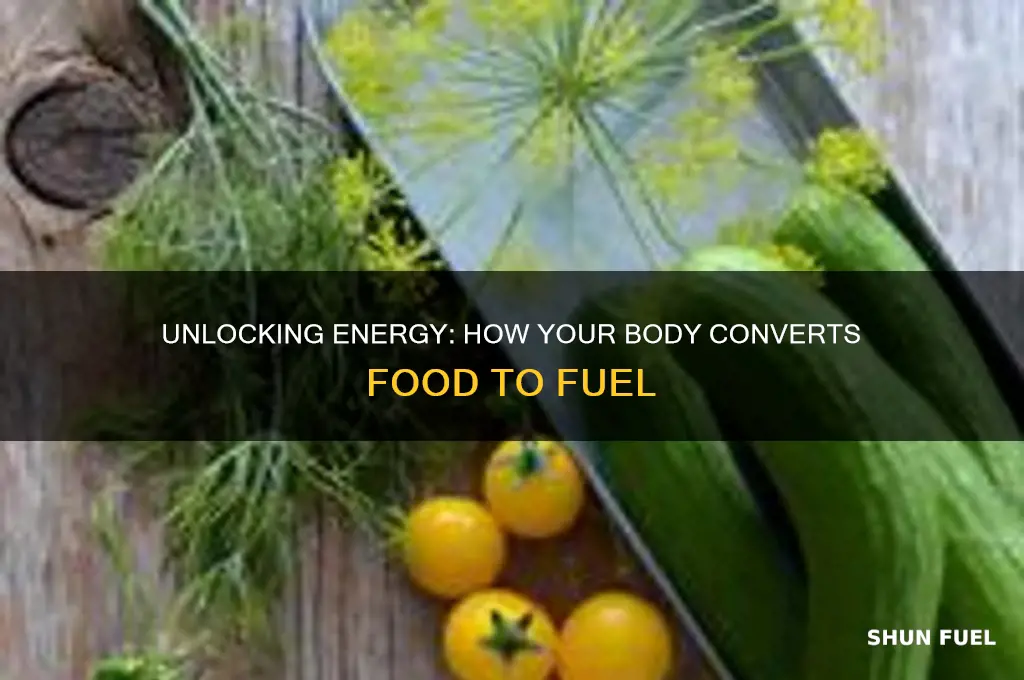 how can your body get to fuel