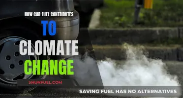 Car Fuel's Climate Change Impact: What You Need Know