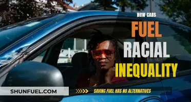 The Role of Cars in Sustaining Racial Inequality