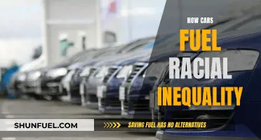 Cars: Engines of Racial Inequality?
