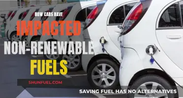 Cars' Impact on Non-Renewable Fuels: A Complex Relationship