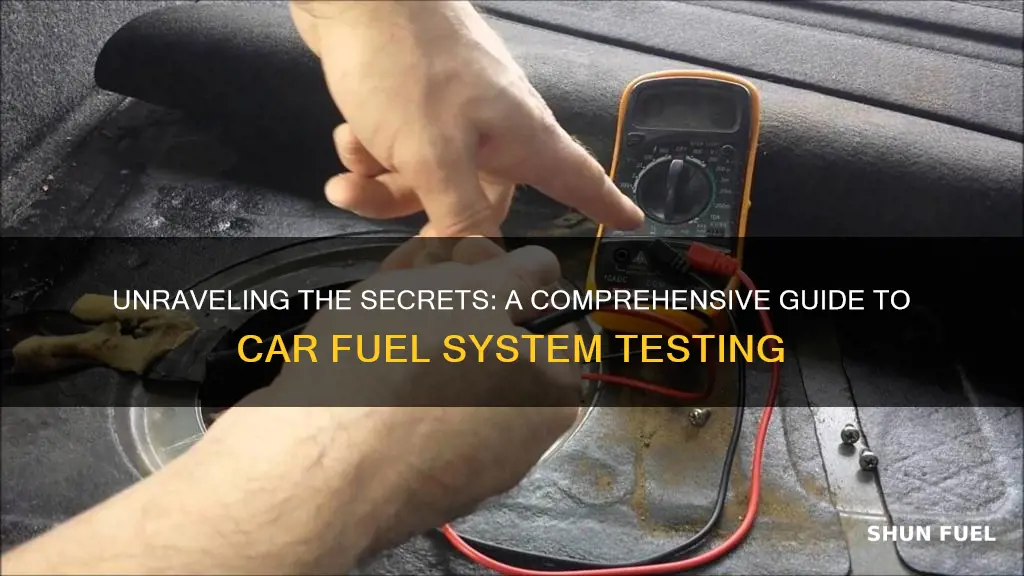 how cars work fuel system test