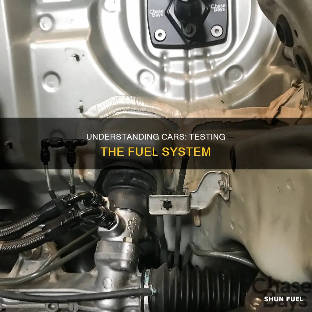 how cars work fuel system test