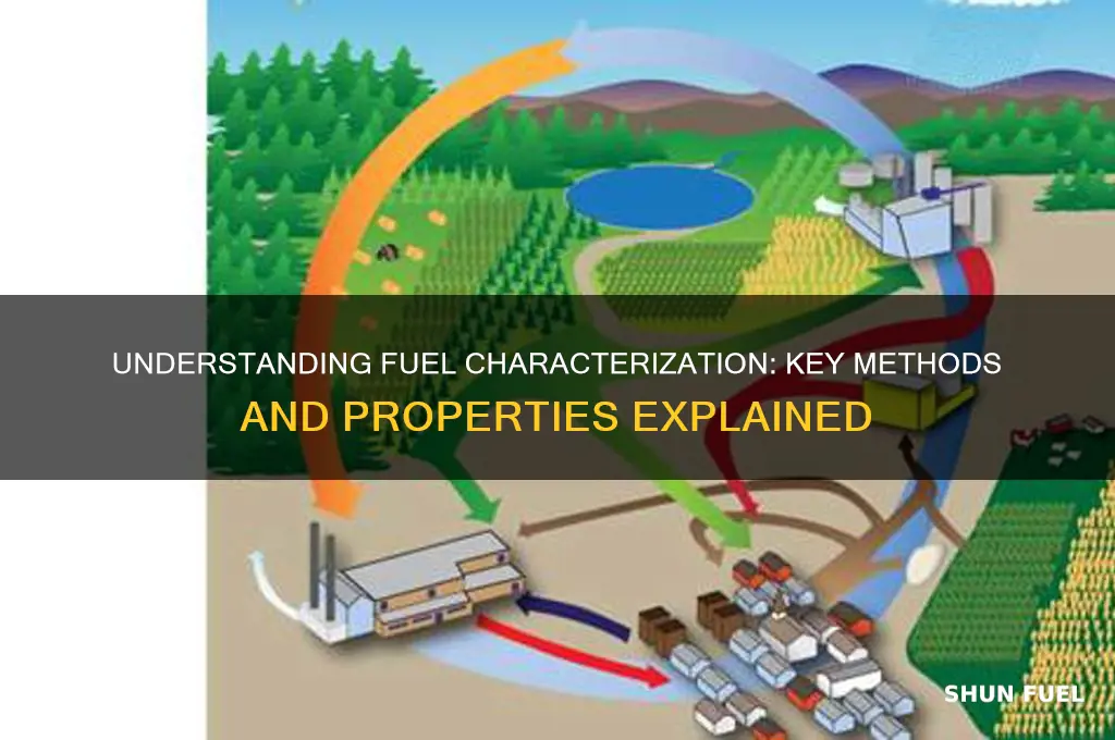 how characterize the fuel
