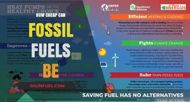 Unveiling the True Cost: How Cheap Can Fossil Fuels Really Be?