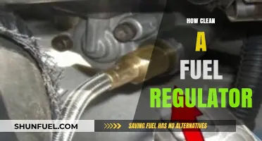 Step-by-Step Guide to Cleaning Your Fuel Regulator for Optimal Performance