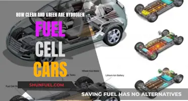 Hydrogen Fuel Cell Cars: Clean, Green, and the Future?