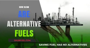 Exploring the Environmental Impact: Are Alternative Fuels Truly Clean?