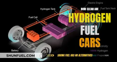 Hydrogen Fuel Cars: Clean Energy or Greenwashing?