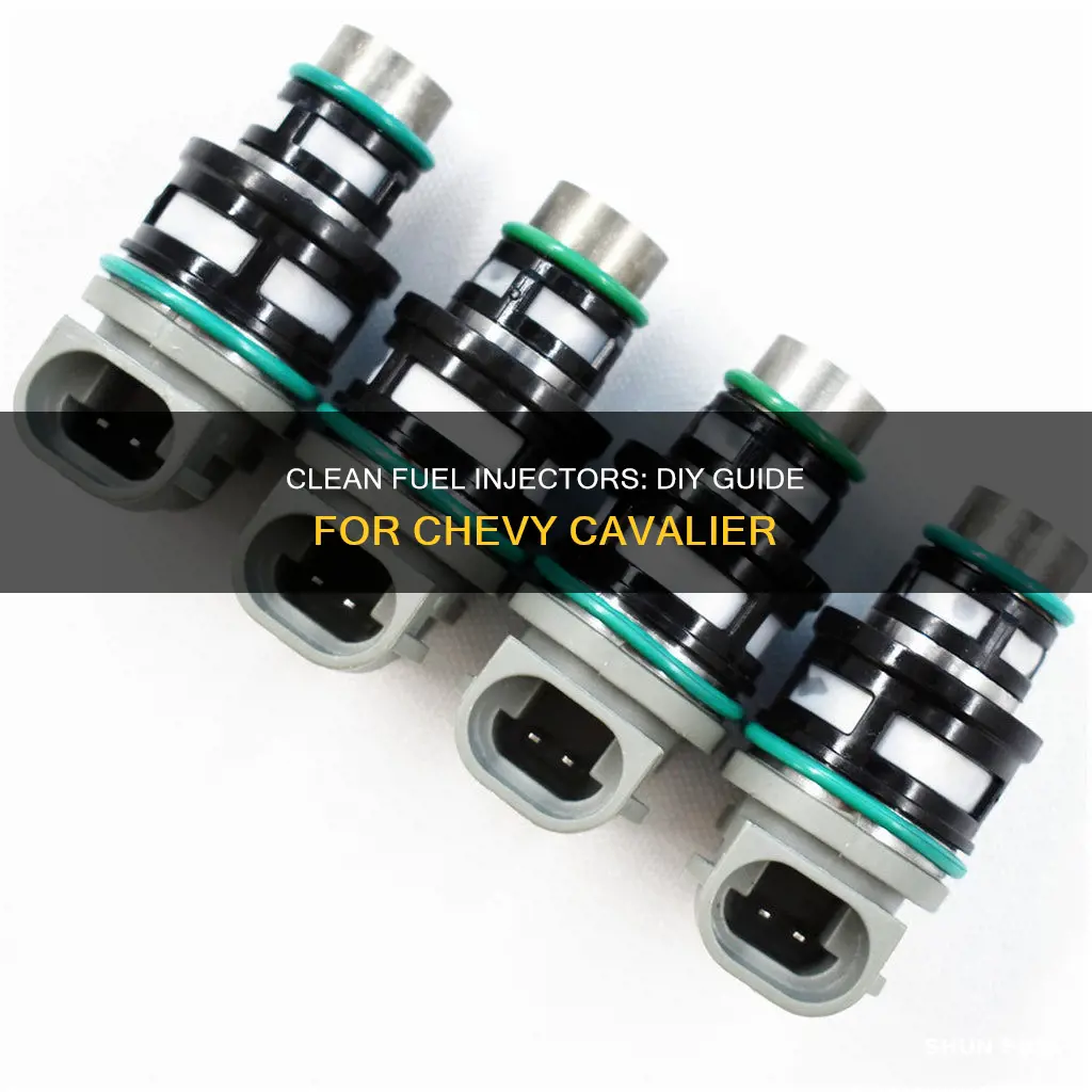 how clean fuel injectors chevy cavalier