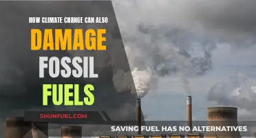 Climate Change: Damaging Fossil Fuels and Our Future