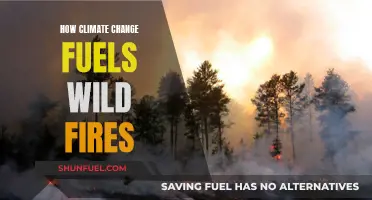 Climate Change: Wildfire Fuel and Future Risks