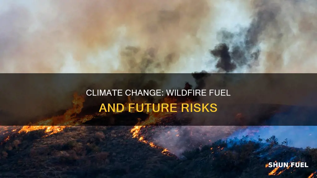 how climate change fuels wild fires