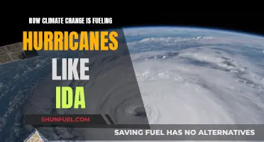 Hurricanes' Fury: Climate Change's Impact on Storms Like Ida