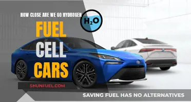 Hydrogen Fuel Cell Cars: Are They the Future?