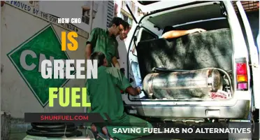CNG: The Eco-Friendly Fuel Revolutionizing Green Transportation