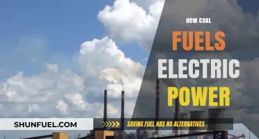 Coal's Role in Powering Electricity: A Comprehensive Energy Overview