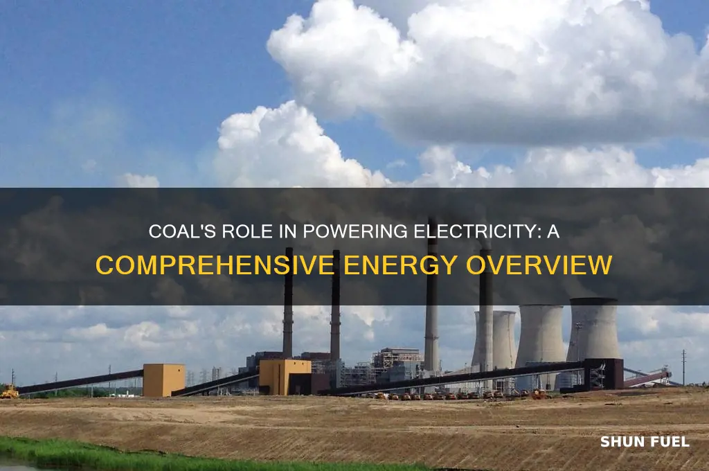how coal fuels electric power