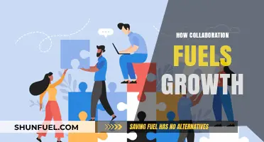 Uniting Teams: How Collaboration Fuels Growth and Innovation