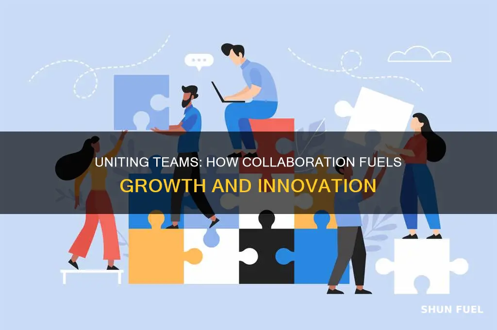 how collaboration fuels growth