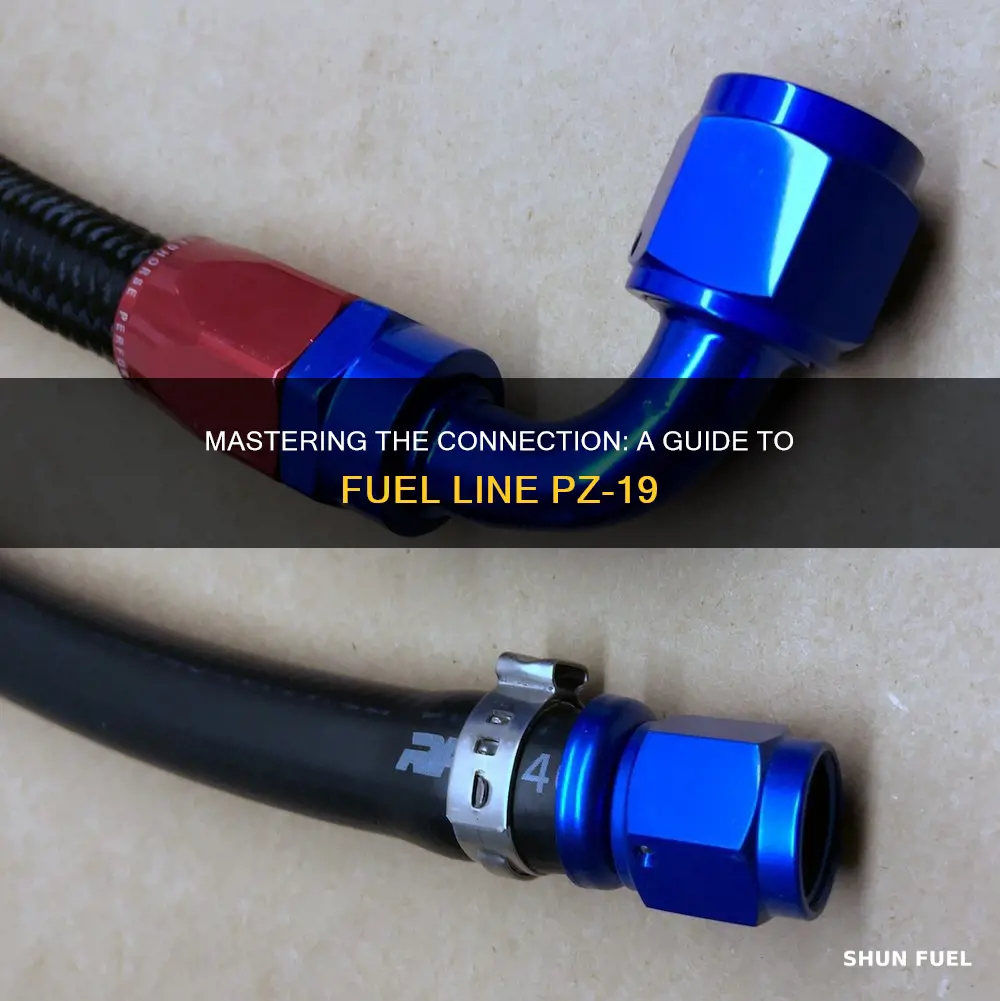 how connect fuel line pz-19