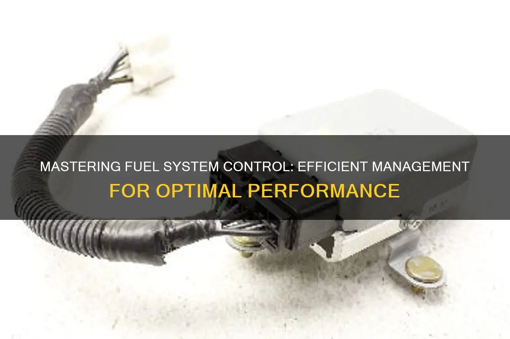 how control fuel system
