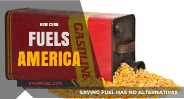 Corn's Power: Fueling America's Economy, Energy, and Daily Life