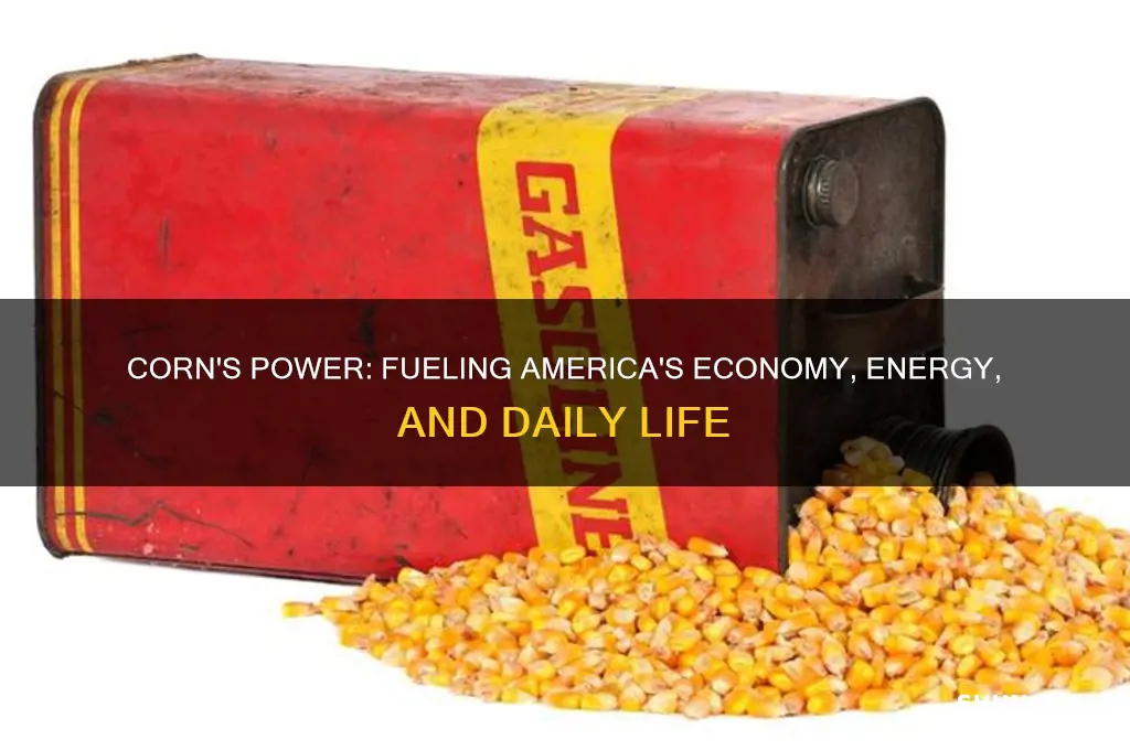 how corn fuels america