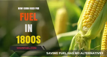 Corn's Surprising Role as a 19th-Century Fuel Source
