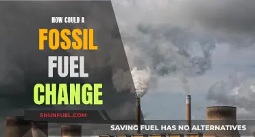 The Evolution of Fossil Fuels: A Changing Energy Landscape