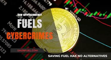 Cryptocurrency's Dark Side: How Digital Currencies Fuel Cybercrime Surge