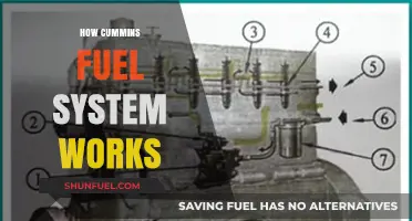 Understanding Cummins Fuel System: Components, Functionality, and Efficiency Explained