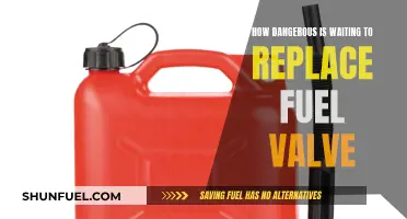 Fuel Valve Replacement: A Dangerous Delay