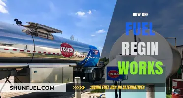Understanding Def Fuel Region: How It Works and Its Benefits