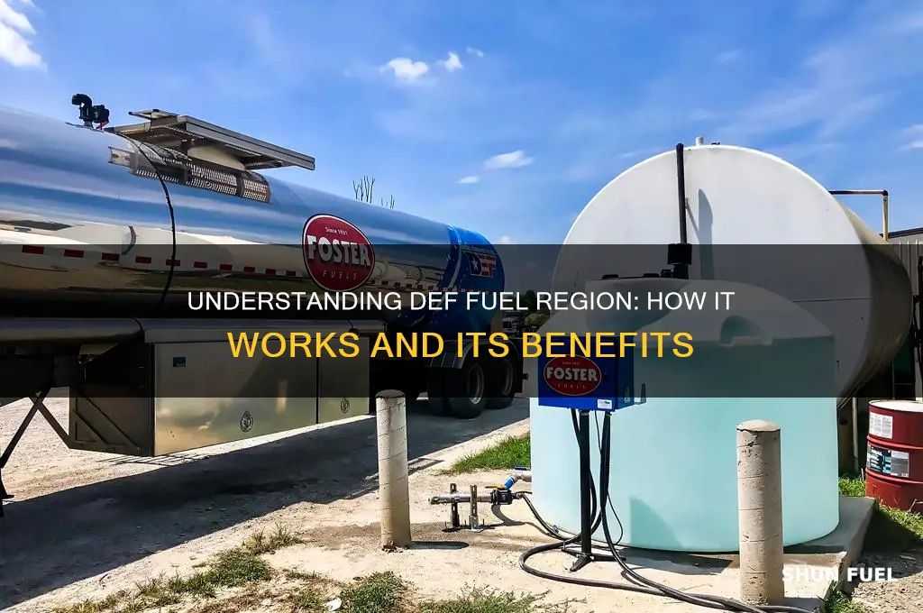 how def fuel regin works