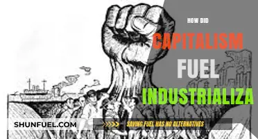 Capitalism's Catalyst: Driving the Engine of Industrial Revolution and Growth