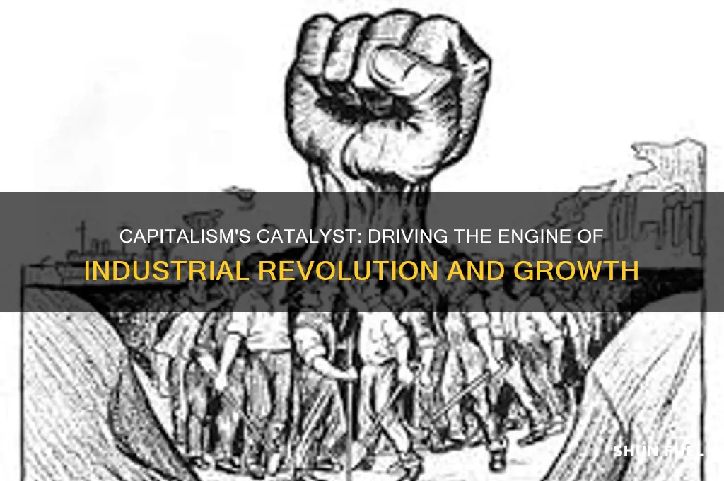 how did capitalism fuel industrialization
