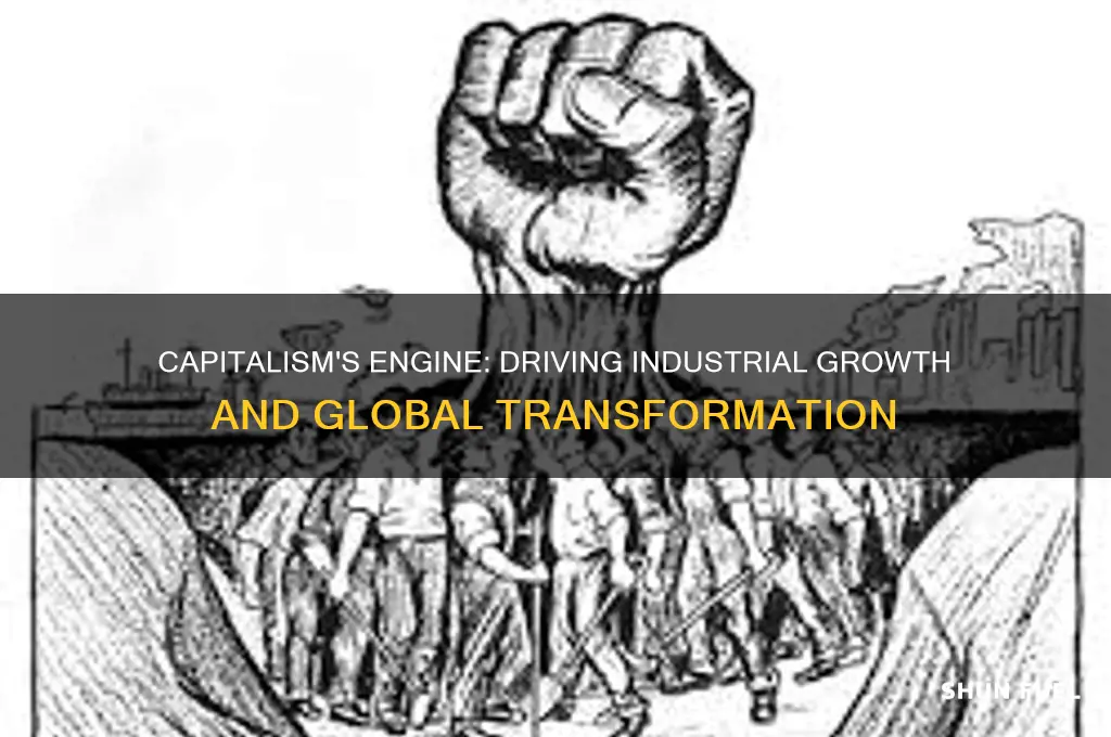 how did capitalism fuel industry