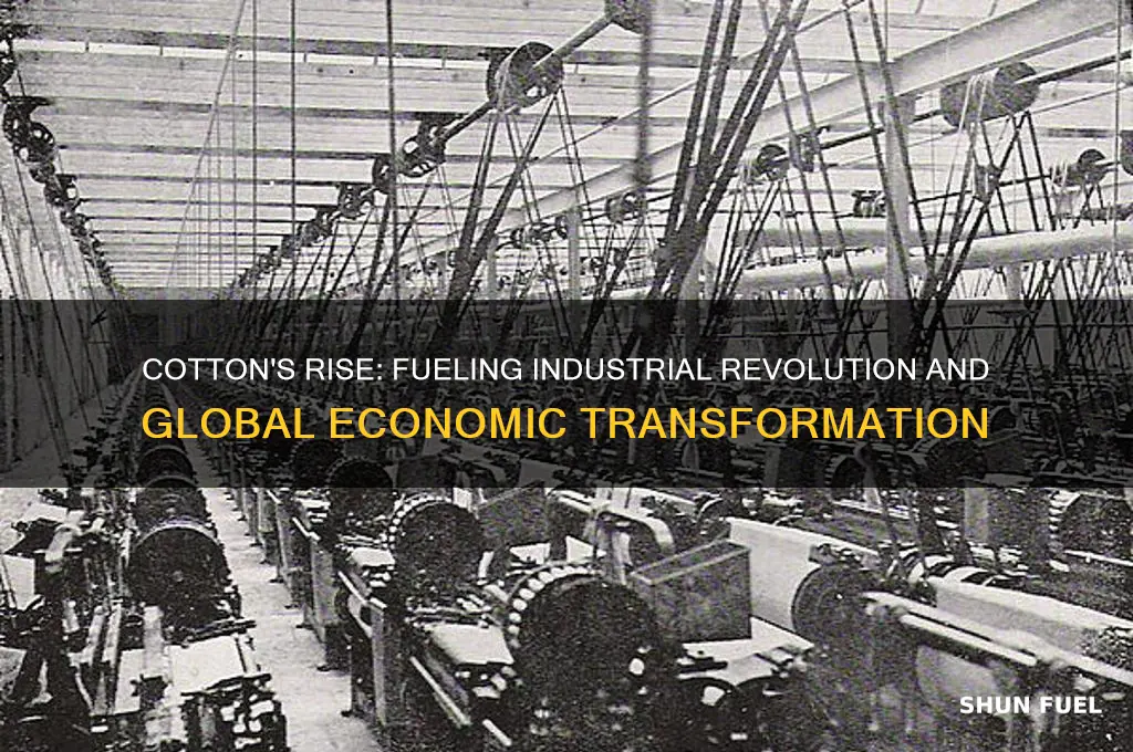 how did cotton fuel industry