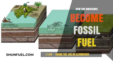 Dinosaur Fossilization: The Origin of Fossil Fuels