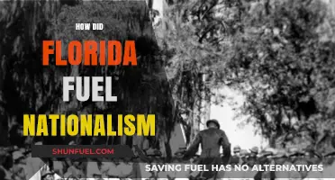 Florida's Role in Shaping American Nationalism: A Historical Perspective